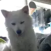 Jodi Orr - @jodi_orr1732 - TikTok