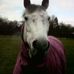 Jodie Orr - Facebook