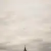 Jodi Parrish - @jodiparrish989 - TikTok