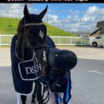 Jodi Randall Equestrian - @jodi.randall.equine - Instagram