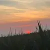 Jodi Rush - @jodirush447 - TikTok