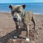 Jodie Singleton - @jodie_singleton_ - Instagram