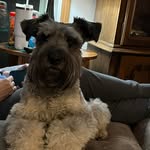 Jodi Sizer Coleman - @jodi_sizer_coleman - Instagram