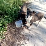 Jodie Hulsizer - @jodieehulsizerzd5336 - Instagram