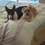 Jodie Stratton - Facebook