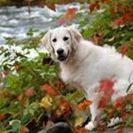 Jodie Wade Hayes - @jodiehayes58 - Instagram