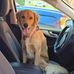 Jodi Whitlock - Facebook