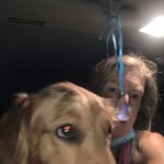 Jody Harrison Agerton - @jodyandsarah19 - Instagram