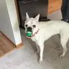 Jody Ash - @jody.ash8 - TikTok