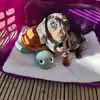 Jody Baldwin - @minileodashund - TikTok