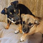 Jody Searcy Baldwin - @jodysearcybaldwin - Instagram