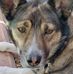 Jody L Barrett - Facebook