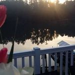 Jody Bates - @jodygabates - Instagram