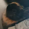 Jody Bates - @jodys.crew - TikTok