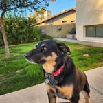 Jody Freedner Beamer - @beamerjody - Instagram