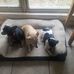 Jody Beasley - Facebook