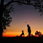 Jody Beck - @jody.beck - Instagram