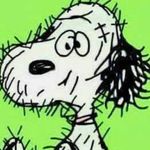 Jody Bee - @jab022499 - Instagram