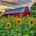 Jody Benedict - Facebook
