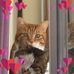 Jody Bingham - Facebook