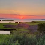 Jodi Boardman Appell - @jodsb12 - Instagram