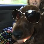 Jody - @jody_boss123 - Instagram