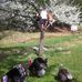 Jody Bouchard - Facebook