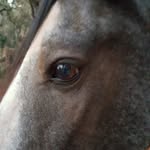 Jody Bower - @jodybower - Instagram