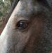Jody Bower - Facebook