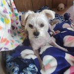 Jody Warner-Bower - @jodybgood1961gmail7580 - Instagram