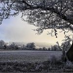 Jody Cantrell - @jodyrockin - Instagram