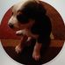 Jody Childs - Facebook