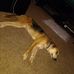 Jody Childs - Facebook