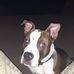 Jody Childs - Facebook