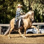 Jody Hamaker Childs - @jody.childs1 - Instagram