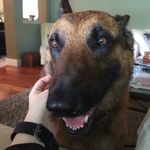 Jody Andrews-Christensen - @leroybrownrunamuck - Instagram