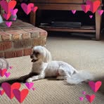 Jody Christensen - Facebook