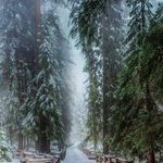 Jody Christensen - @jody.christensen.9 - Instagram