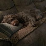 Jody Clement - @clementjody - Instagram