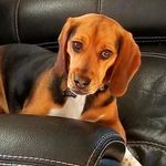 Jody Corbett - @jcderbs - Instagram