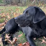 Jody Cote - Facebook