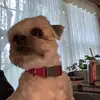 Jody Cross - @jody.cross - TikTok