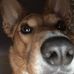 Jody Crowder - Facebook
