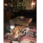 Jody Decker - @jody.decker.79 - Instagram