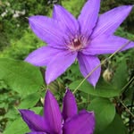 Jody Downer - @jodydowner - Instagram