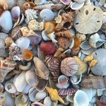 Jody Dugan - @jodym36 - Instagram