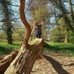 Jodie Eldridge - @jodieeldridge - Instagram