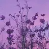 Jodi Emerson710 - @jodiemerson710 - TikTok
