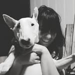 Jody Emerson - @emersonjo - Instagram