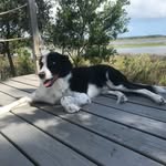 Jodie Epperson - @lug2travel - Instagram